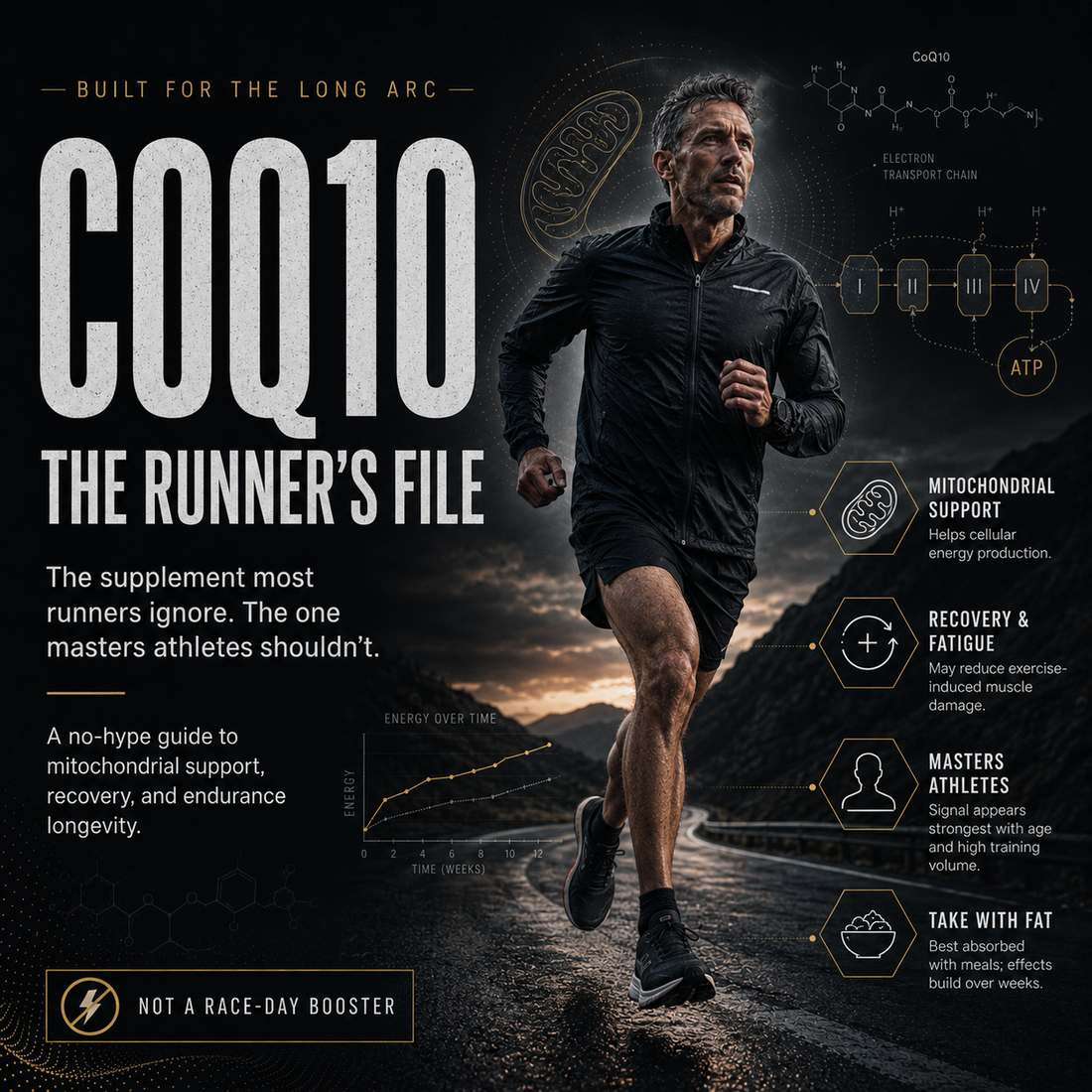 CoQ10. The Runner's File.